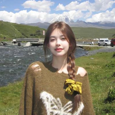 挎斗摩托车里的狗